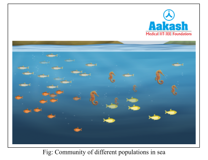 community of different poulations in sea