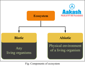 components of ecosystem