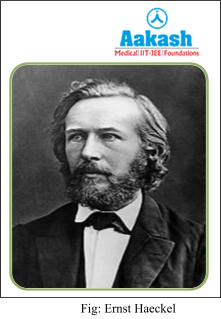 ernst haeckel
