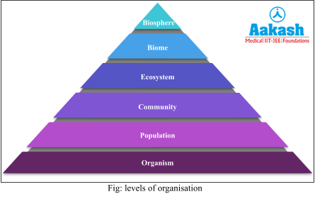 levels of organisation