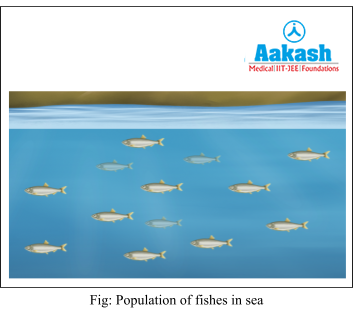 population of fishes in sea