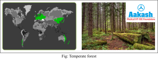 temperate forest